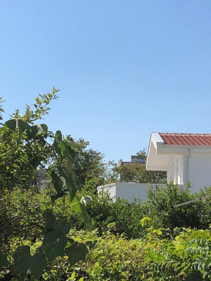 Villa Dafina Donji Stoj Exterior photo